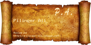 Pilinger Ali névjegykártya